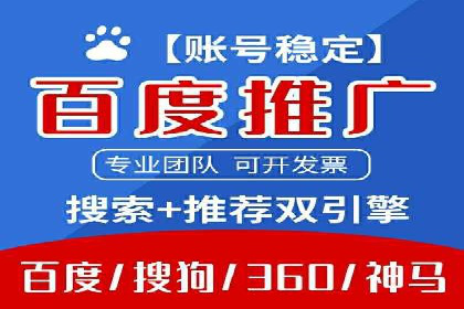 解析SEM竞价代运营公司的技术实力与服务优势